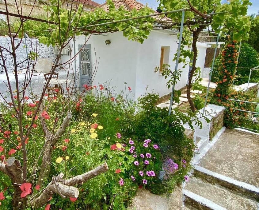 Stylish Vathy Studio With Sea View Exterior foto